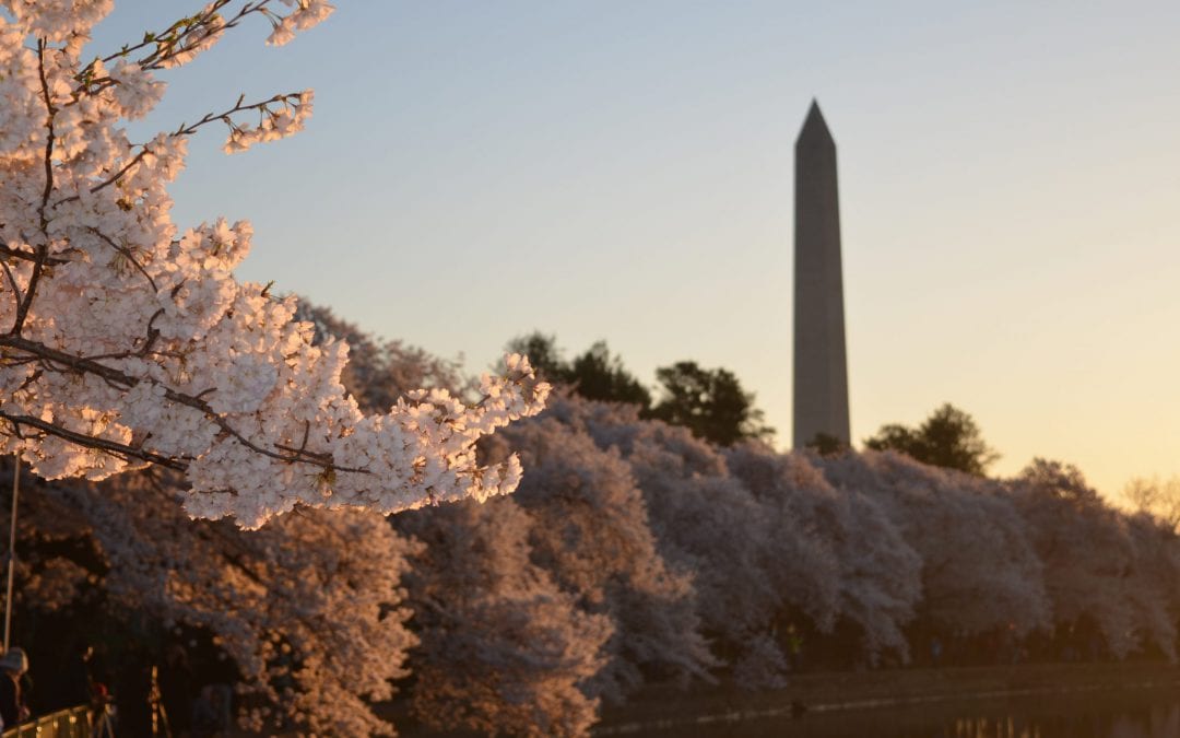 Why should you attend LibertyCon?